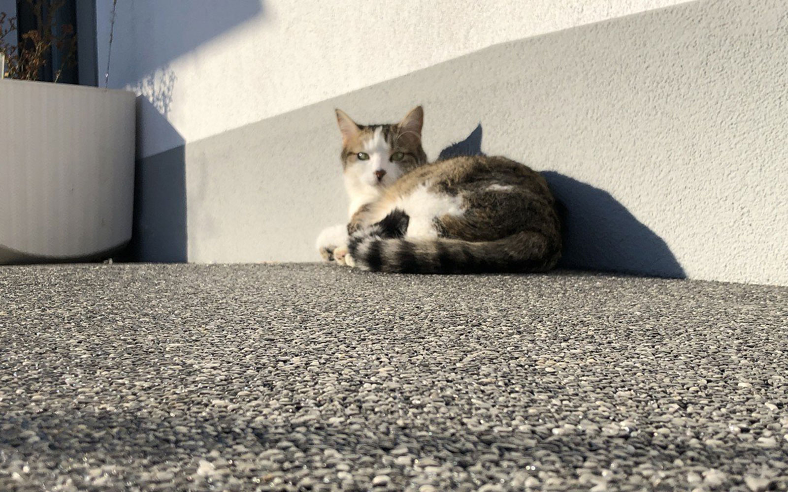 Wir bieten Lösungen